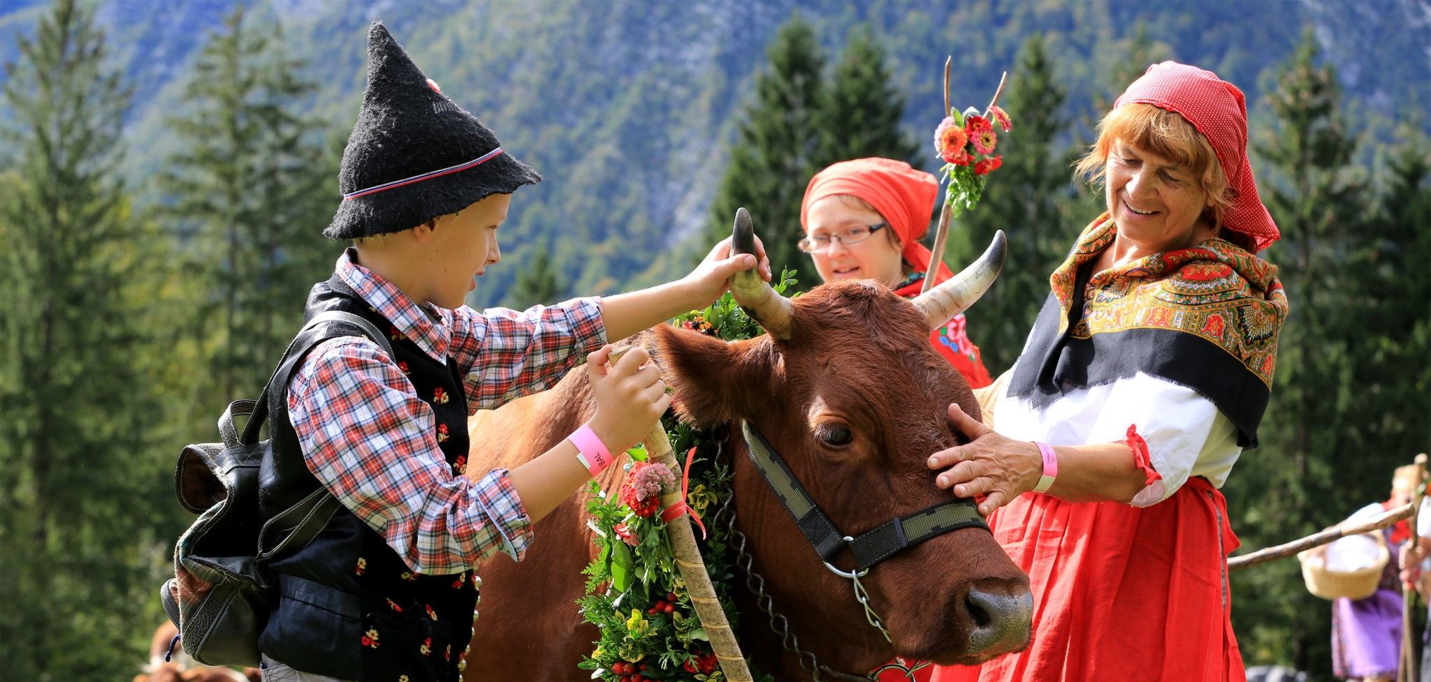 Bohinj events tourist office