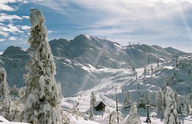 Vogel ski