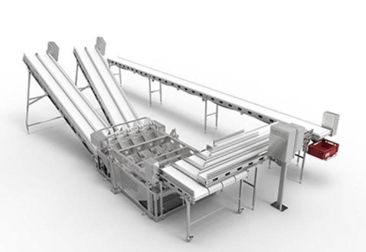 stainless steel food processing systems