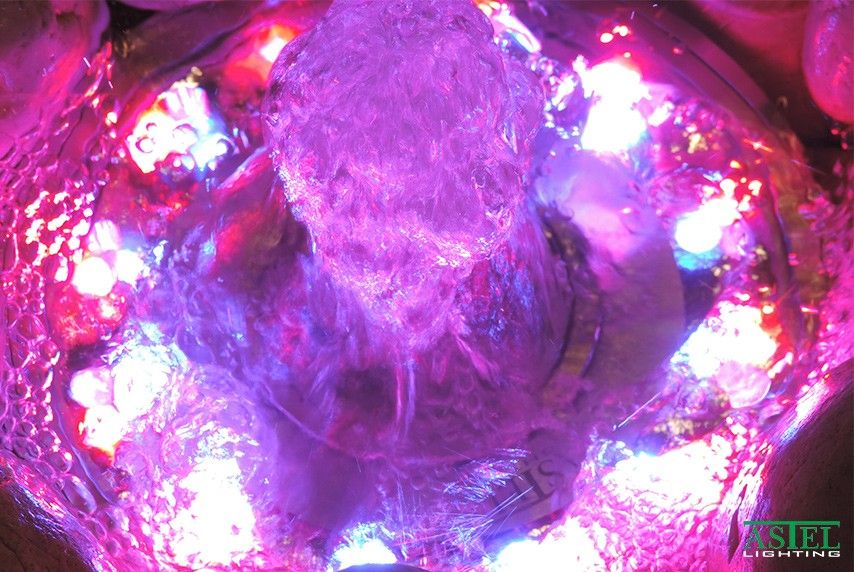Water fountain LED lights
