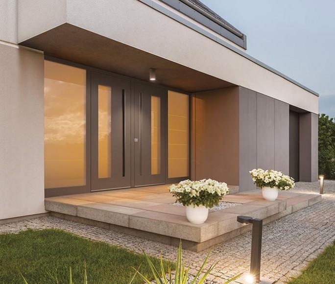 Luxury entrance doors