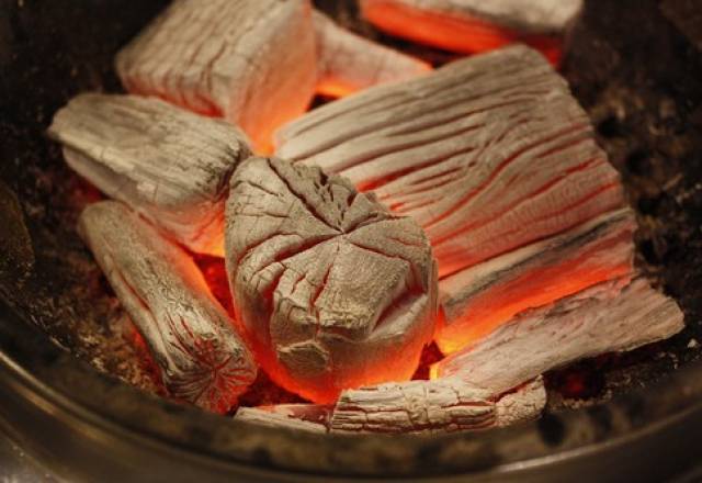 Charcoal cookers