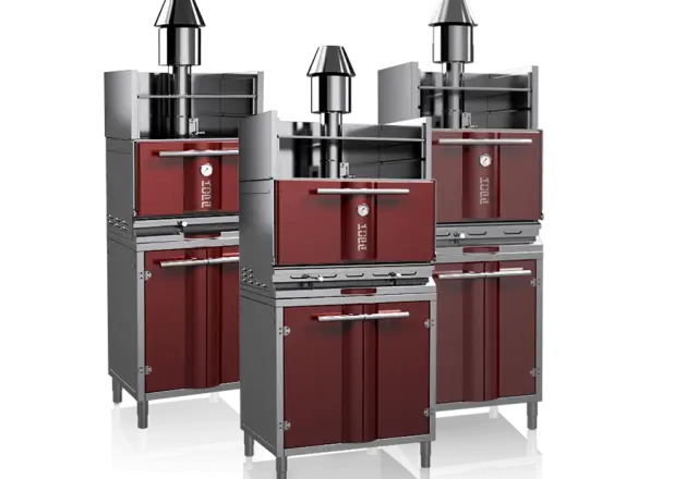 Professional charcoal grill